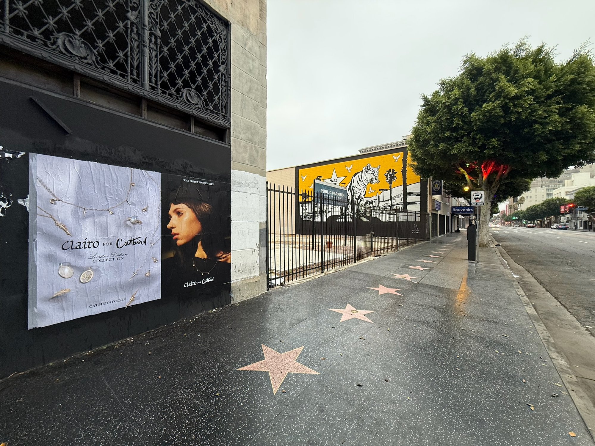 Catbird x Clairo wild posting on Hollywood Boulevard with Walk of Fame stars visible, Los Angeles