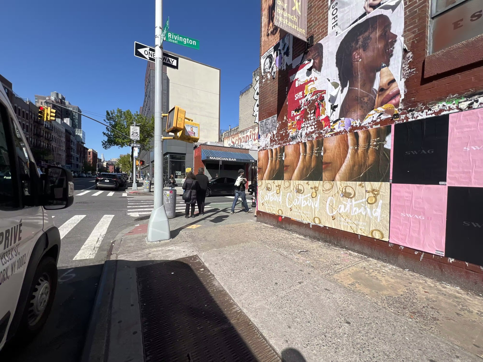 Catbird Mother's Day wild posting on the corner of Essex and Rivington, Lower East Side