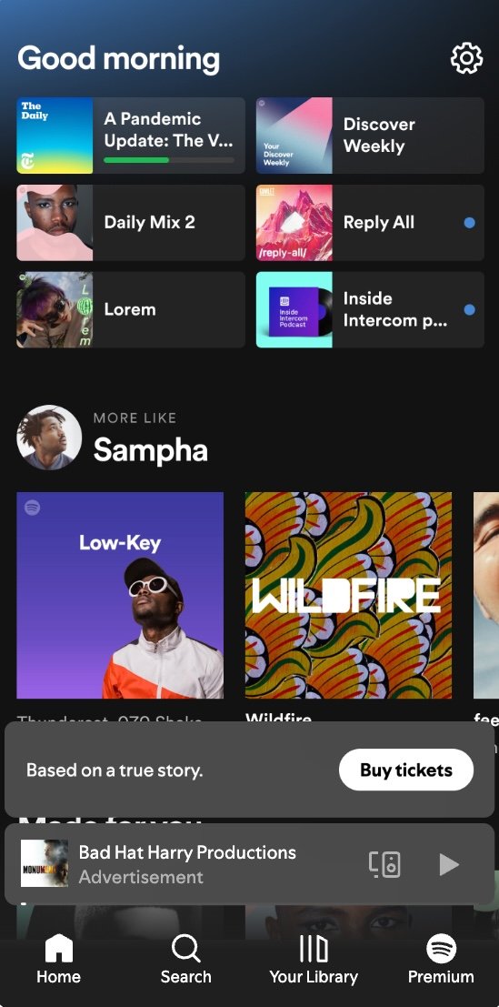 Monument Spotify mobile in-feed ad preview